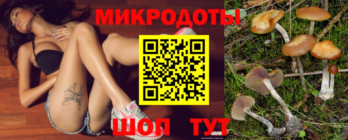 Псилоцибиновые грибы прущие грибы  Галлюциногенные грибы мухоморы  где продают   Вход с VPN  Серов 