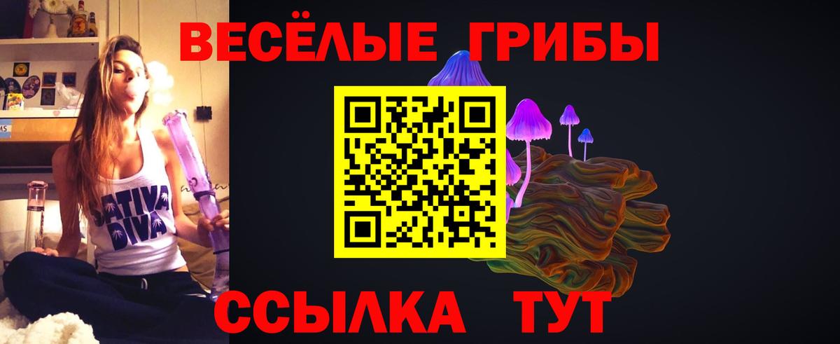 Псилоцибиновые грибы мухоморы Серов