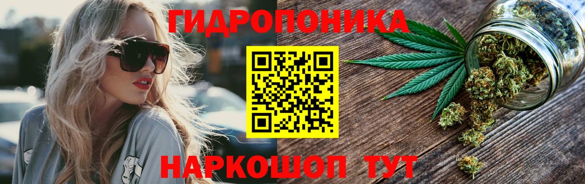Бошки Шишки индика Серов